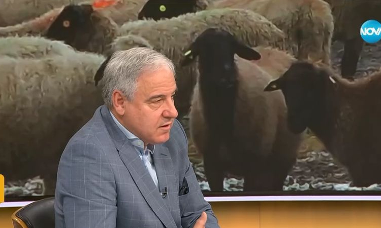Д-р Илиян Костов: Ветеринарните лекари не са убийци