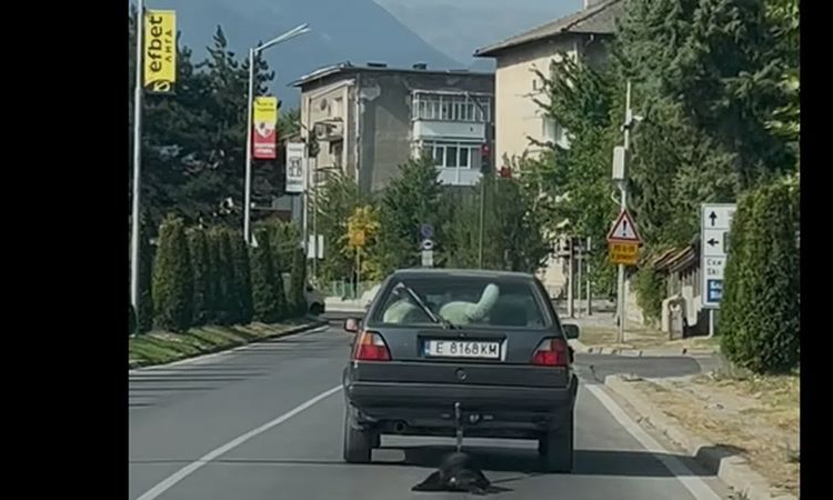 Поредно скандално видео: Мъж влачи куче с колата си в Банско