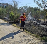 Гласят пожара край Ботаническата градина