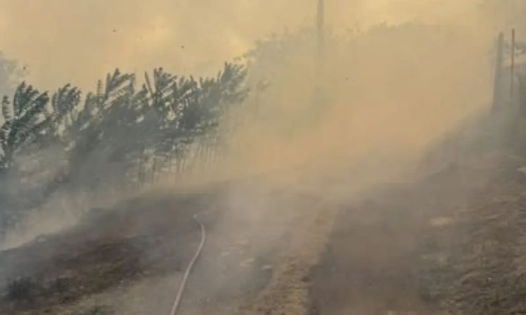 Голям пожар в Старозагорско, обявиха бедствено положение