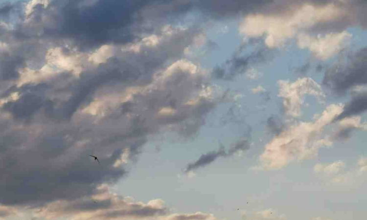 Силни валежи в неделя