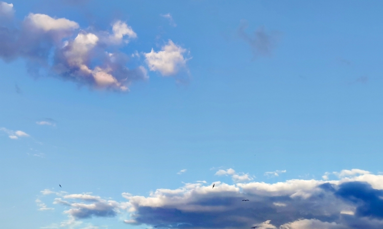 Сряда носи слънце