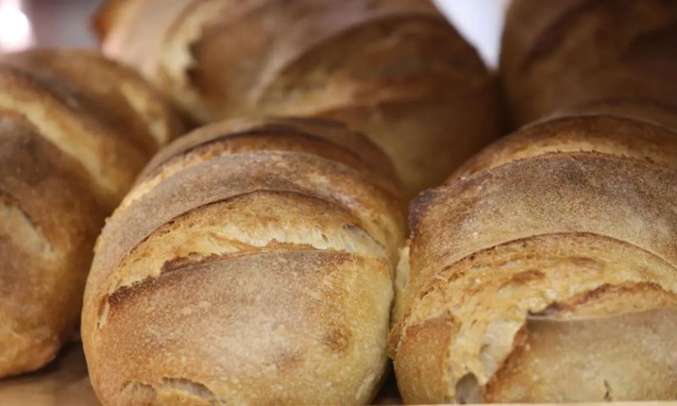 Мариана Кукушева: Хлябът поскъпва заради скъпия дизел и новите данъци