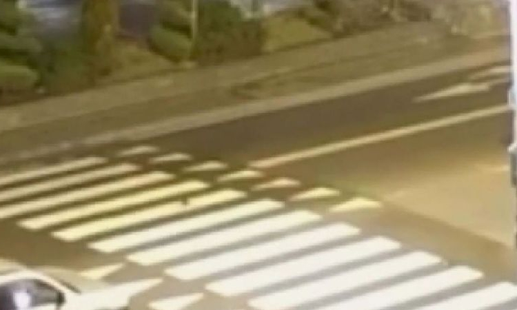 След като 80-годишен шофьор помете 75-годишен трудноподвижен мъж: Трябва ли да има нови правила и ограничения за възрастните водачи