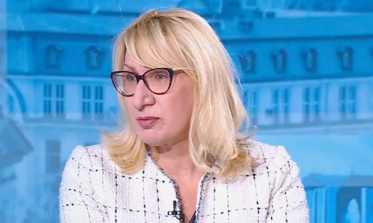 Зам.-председателят на Обществения съвет на ЦИК: За читави промени в Изборния кодекс трябва консенсус