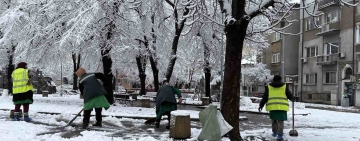 Дърво, натежало от снега, падна и изпотроши пет коли в район 