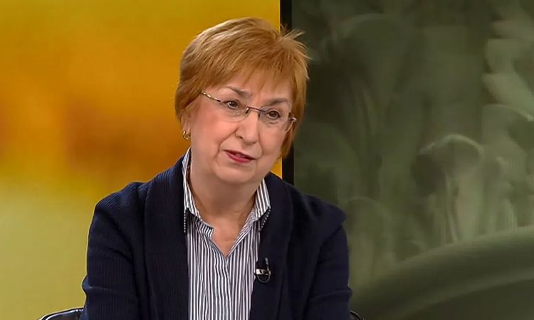 Екатерина Михайлова: Не е добро решение да имаме работещ парламент по време на предизборна кампания