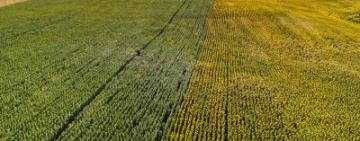 Шест кораба с аржентински слънчоглед пристигнаха в България