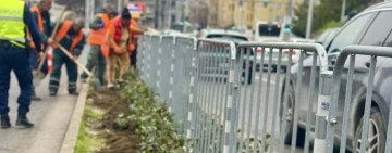 Хиляди красиви рози, храсти и дървета засаждат по ключов булевард в Пловдив