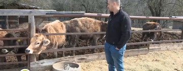 Фермерите продават евтино, а ние купуваме най-скъпото мляко в Европа