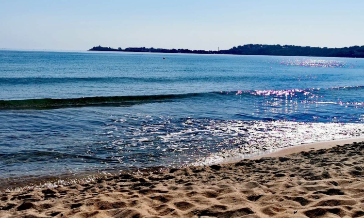 Министърът на туризма: България се подготвя за успешен летен сезон