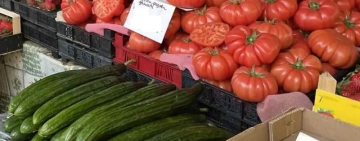 БКПЗ: Българското производство на плодове и зеленчуци е на критичния минимум