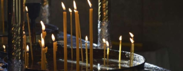 Черешова задушница е