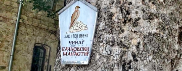 Спасиха 15 защитени диви животни през юни