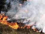 Вятърът тласка пожара край границата с Гърция към България