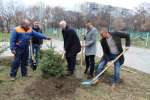 Десетки нови дръвчета в парк „Ружа“, над 2000 засадиха в  целия град
