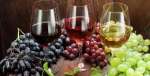 Община Куклен организира конкурс за &quot;Най-добро домашно вино - реколта 2022 г.&quot;
