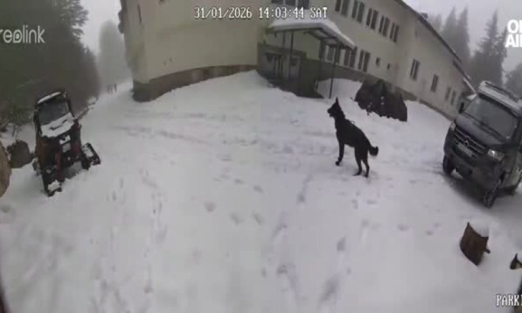 Доц. Милен Иванов за "Петрохан": Феномен е човек да се самоубие два пъти с изстрел в главата