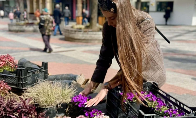 Главната на Пловдив разцъфна с хиляди нови цветя